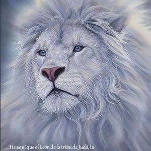 Meet your Posher, Joeljoel